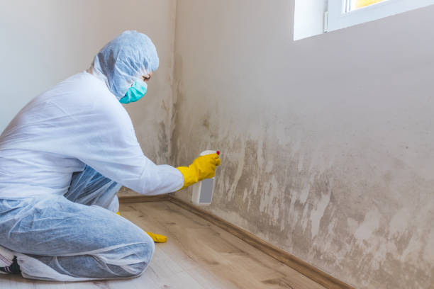 Mold Remediation specialist working in Denver